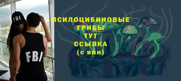 стаф Ладушкин