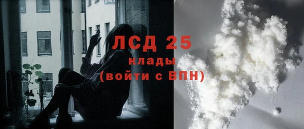 стаф Ладушкин