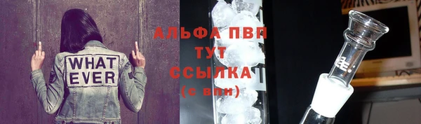 стаф Ладушкин
