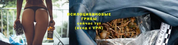стаф Ладушкин