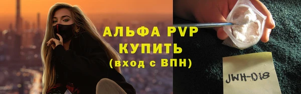 стаф Ладушкин