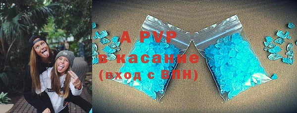 стаф Ладушкин