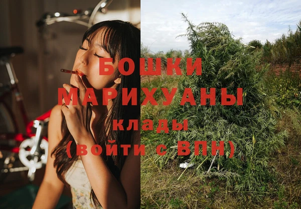 гашик Лабытнанги