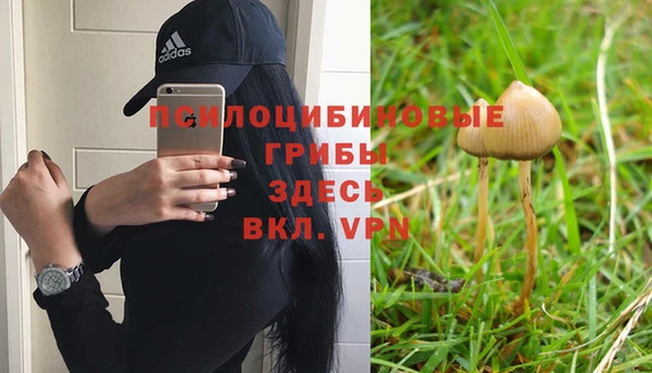 стаф Ладушкин