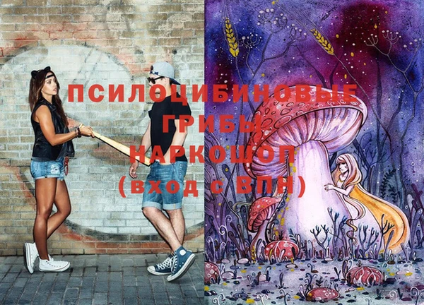 гашик Лабытнанги