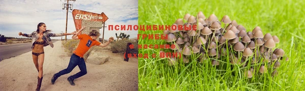 мяу мяу кристалл Лагань
