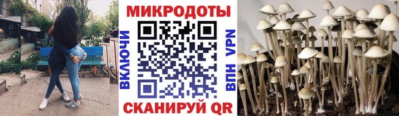 Галлюциногенные грибы ЛСД  Кочубеевское 